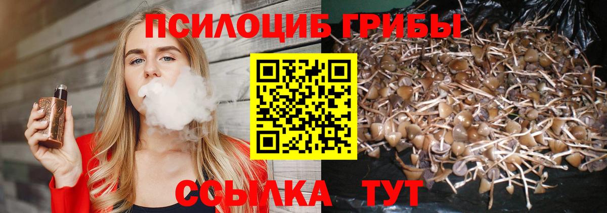 Галлюциногенные грибы MAGIC MUSHROOMS  Вход с VPN  Галлюциногенные грибы прущие грибы  Петровск 
